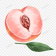 WWW,ggg51·COM网站APPAPP应用